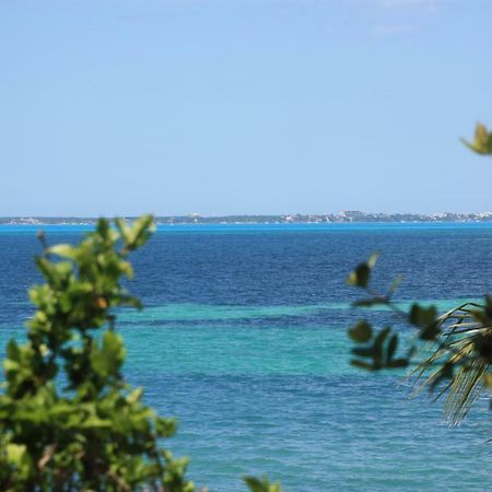 Apartmán Oceanview Studio Cancún Exteriér fotografie